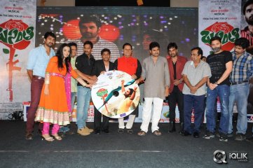 Basanti Movie Audio Launch